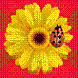Avatar du membre