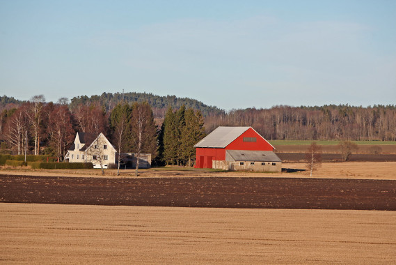Barn
