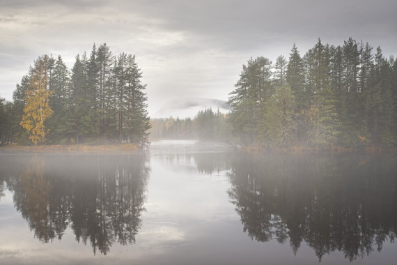 A Portrait of the autumn at the Lågen