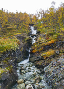 Bergbach | Hallingskarvet