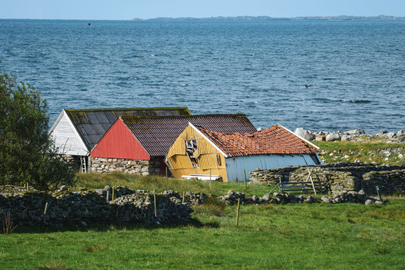 Bunte Schuppen | Rogaland v2