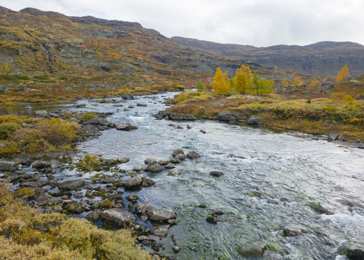 Fjæll-Fluss | Hallingskarvet
