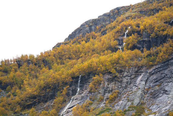 Bergwald | Hallingskarvet