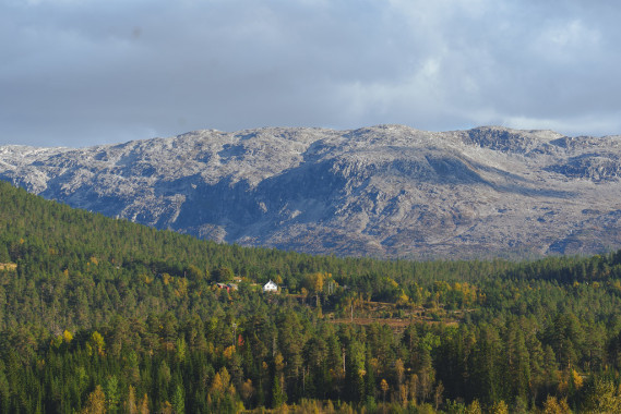 Vossefjellene Bergmassiv | Vestland