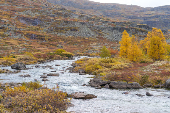 Fjæll-Fluss | Hallingskarvet