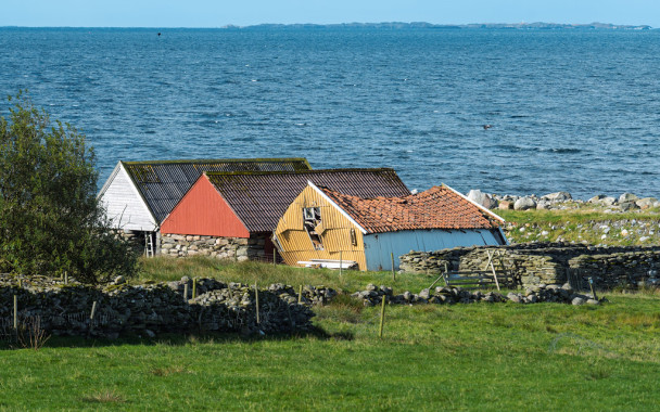 Bunte Schuppen | Rogaland v1