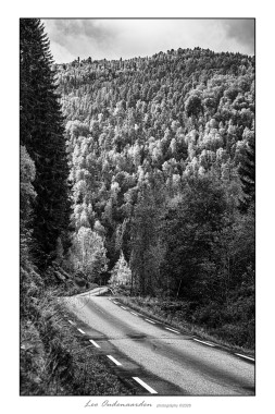 The little country roads