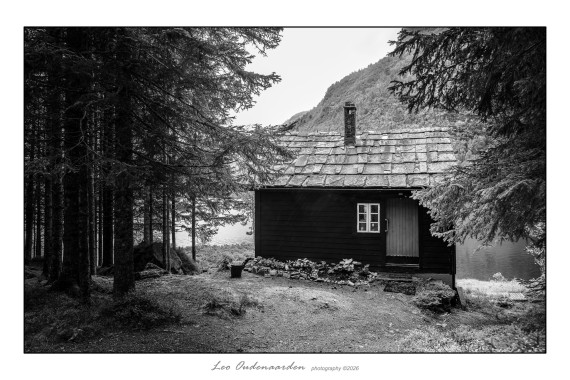 Nature, peace, and a cabin