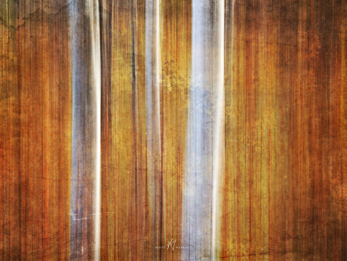 Honey Falls