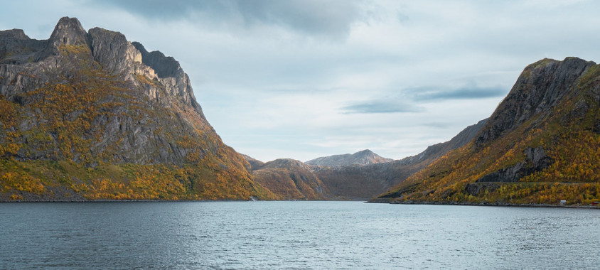 Senja