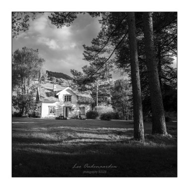 The forest house