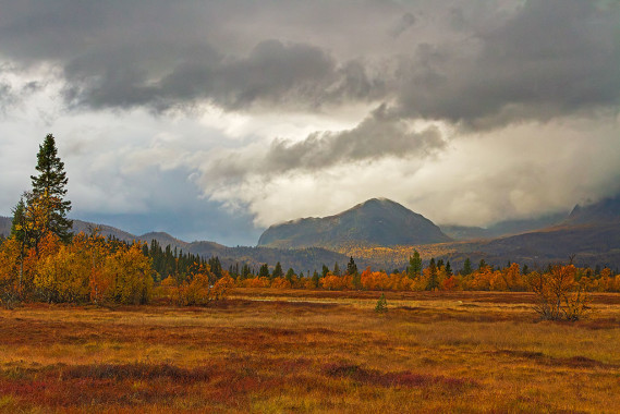 **Autumn View**