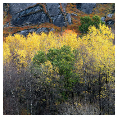 Autumn in Norway