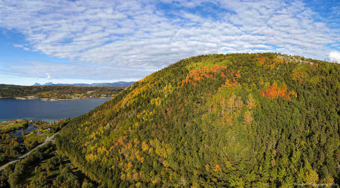 Autumn Colors Panorama Test Åseli