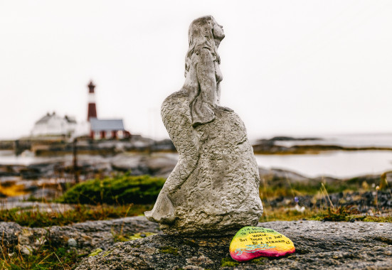 Mermaid in the far nord