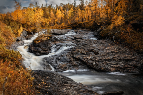 Arctic Autumn