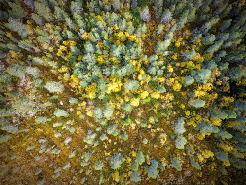 Norwegian Autumn from Above