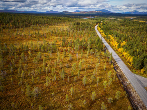 Norwegian Autumn from Above