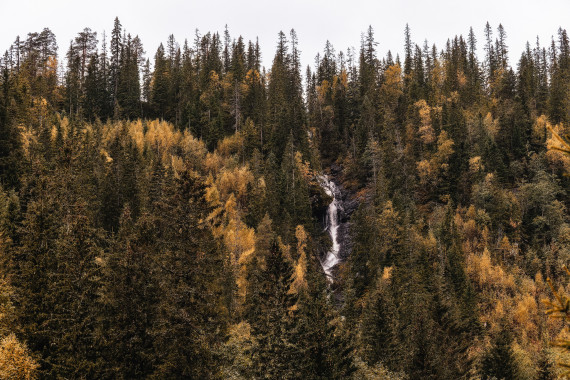 Norwegian Fall